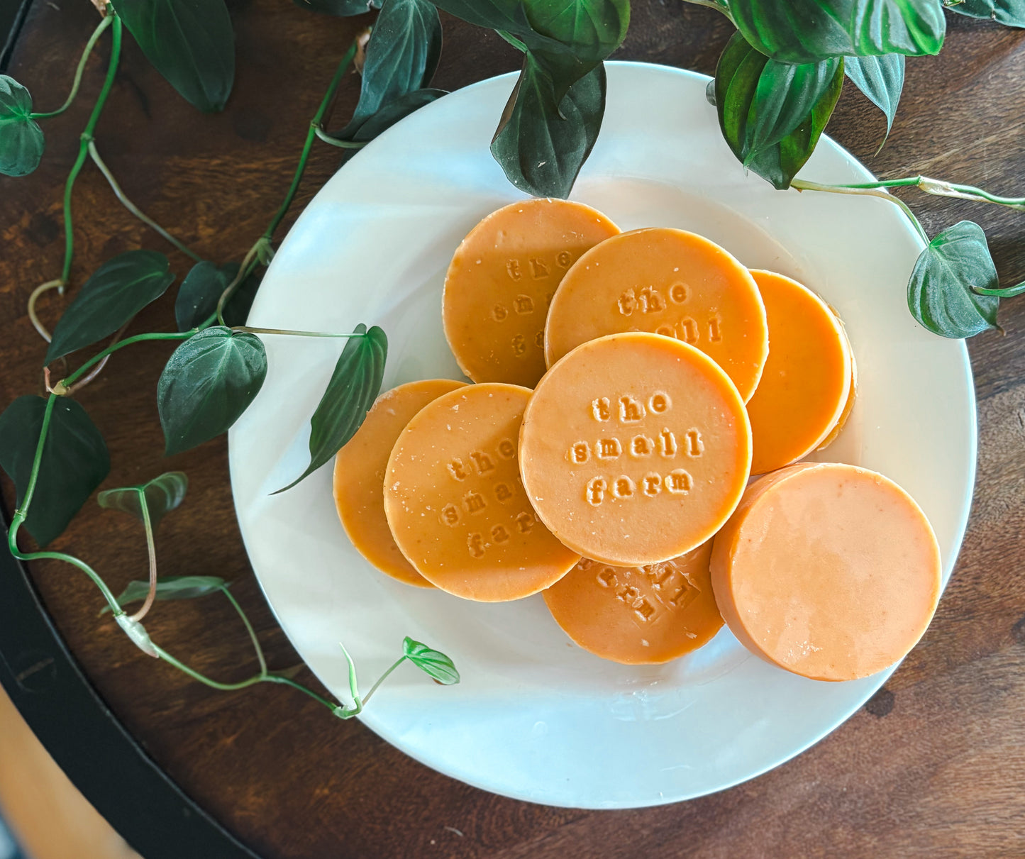 Goat Milk Soap: Citrus + Carrot
