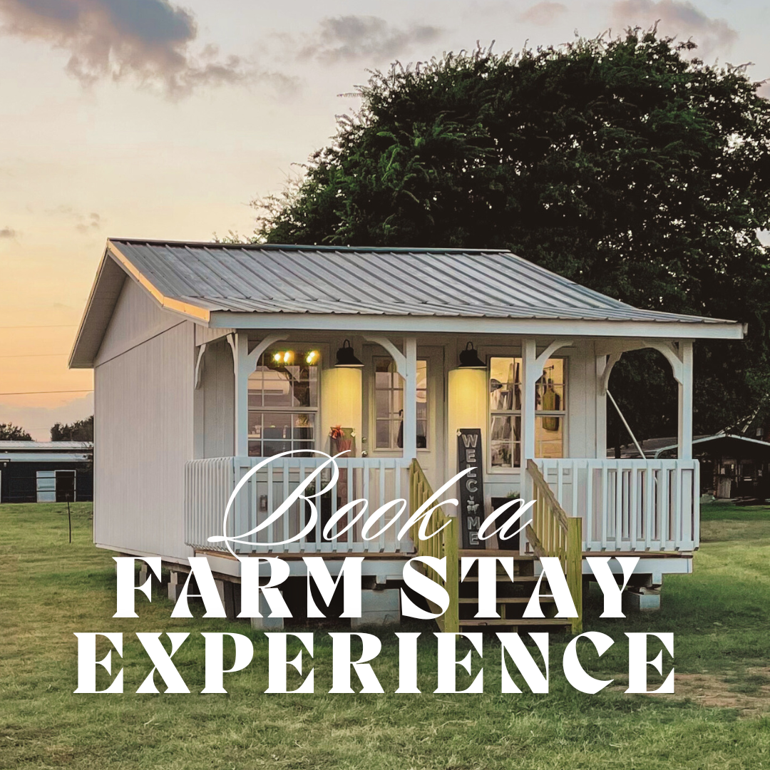 The Tiny Cottage at The Small Farm